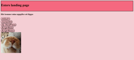 landingpage